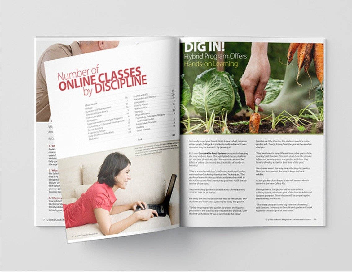 Showcase of graphic design work by Northern Sky Design Studio, featuring logo designs, packaging, and branded collateral that support cohesive brand identity.