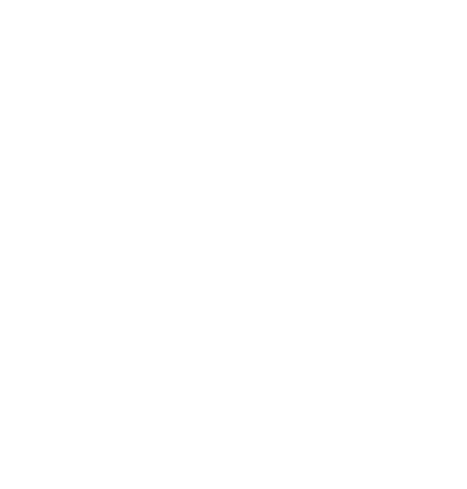 White logo mark for Northern Sky Design Studio used for branding and identity